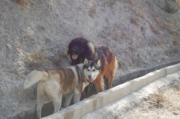 Khumbu & Bruno