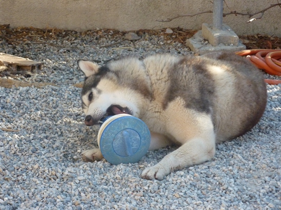 Caught in the act