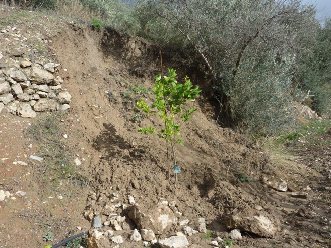 Collapsed terrace