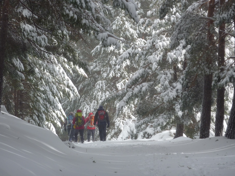 Heading back down the forest track at Puente Palo