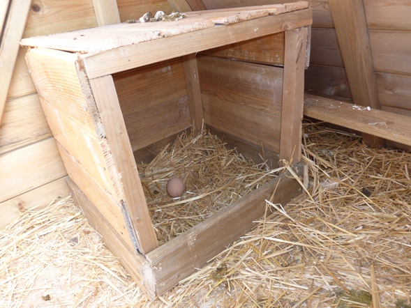 The nest box that Richard built