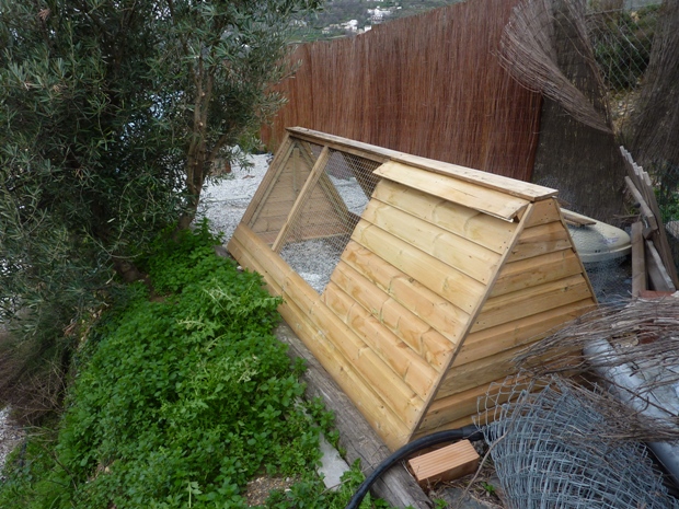 The ark and run