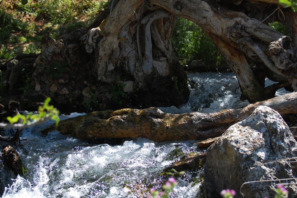 The Rio Frio