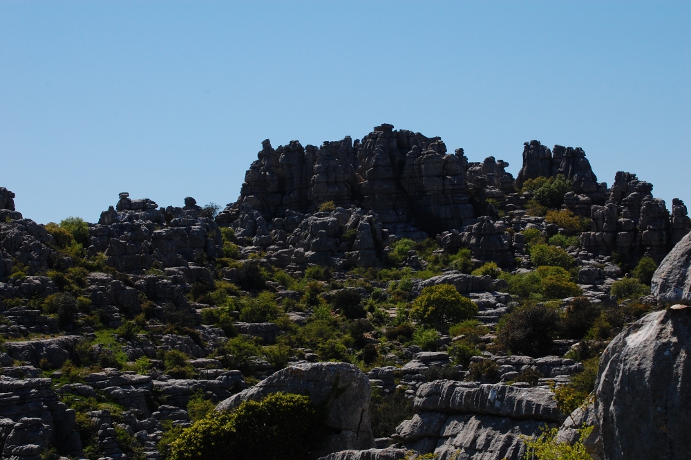 The strange limestone rock formations