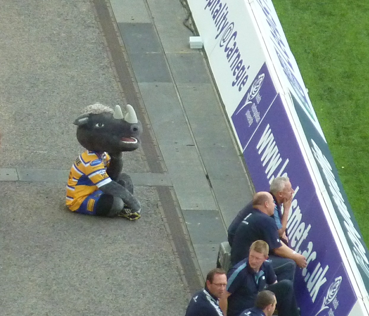 This picture of Ronnie the Rhino sums up how everyone was feeling