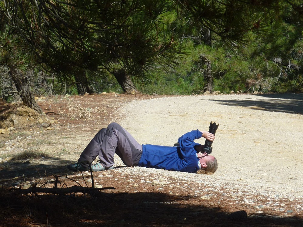 Me wondering if pretending to be dead would get the vultures closer!