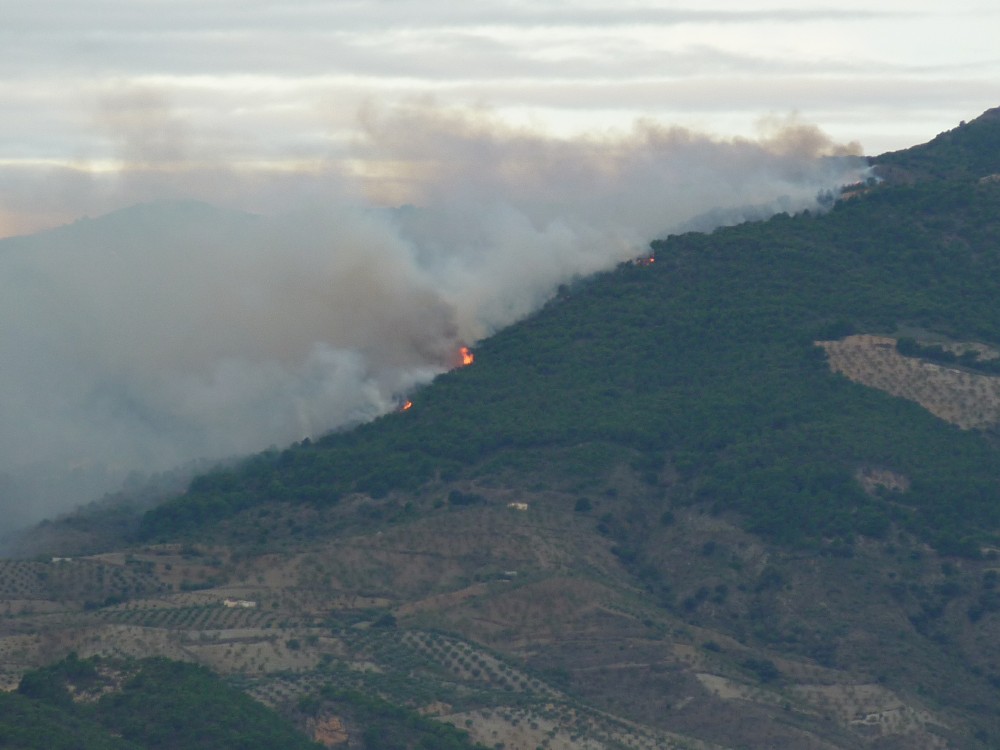 The first time I noticed the fire which had been going since 1.30am