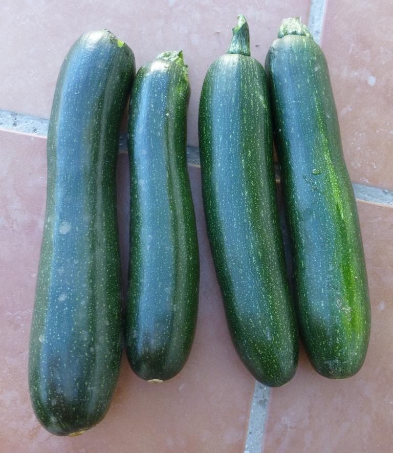 Guess what we are going to be eating for the next few months