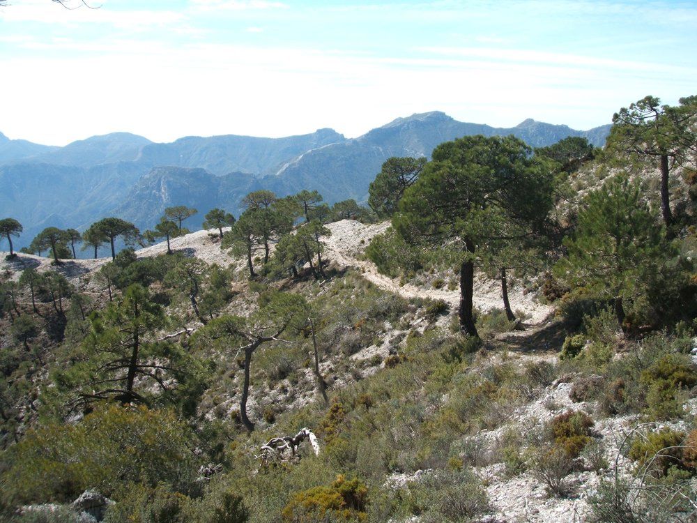 37.and-then-it-turns-south-to-follow-a-small-ridge
