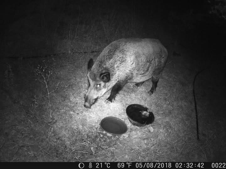 The last photo captured of JJ