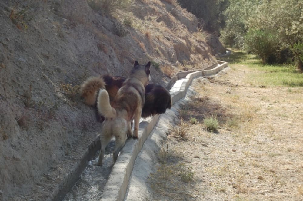Khumbu & Bruno playing
