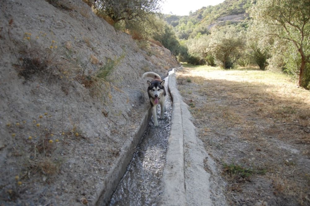 Khumbu wandering along the acequia