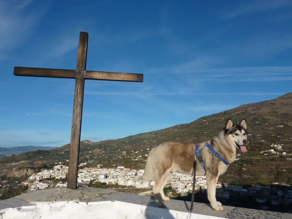 Khumbu aged 3 on his birthday at the Ermita Tajos de la Cruz above Lanjaron