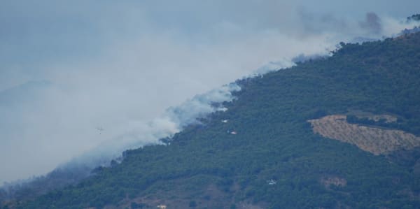 A wildfire at the end of the season