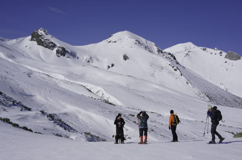 The view from near the Collado de Llesba
