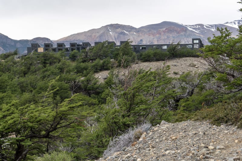 The roof of the black Explora hotel peeping out over the forest