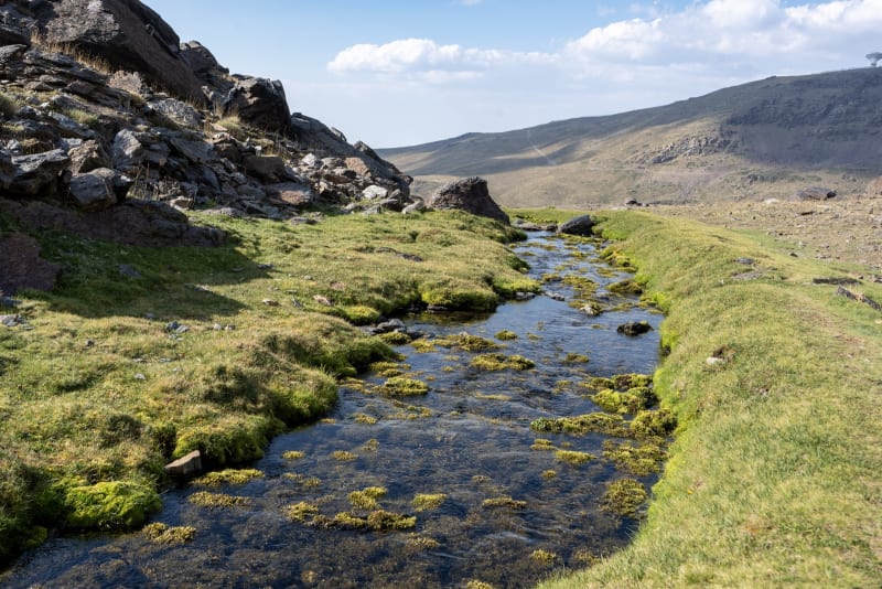 The beautiful tributory coming from Laguna Misterioso