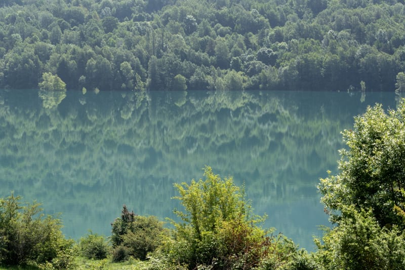 Reflections in a lake