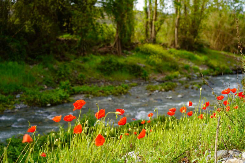 Cadiar, Lobras and Tímar Circular