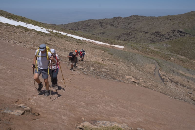 The world turns from green to brown