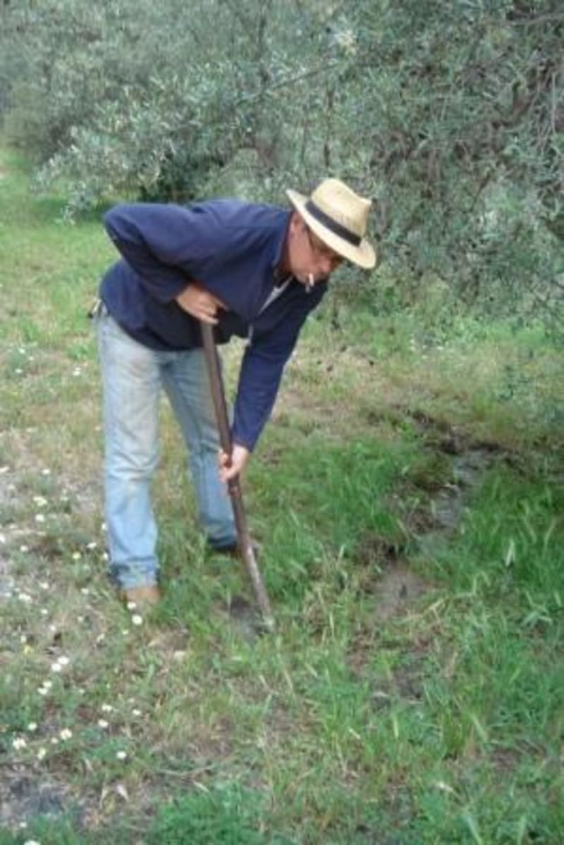 The Road to Self Sufficency, Alpujarras