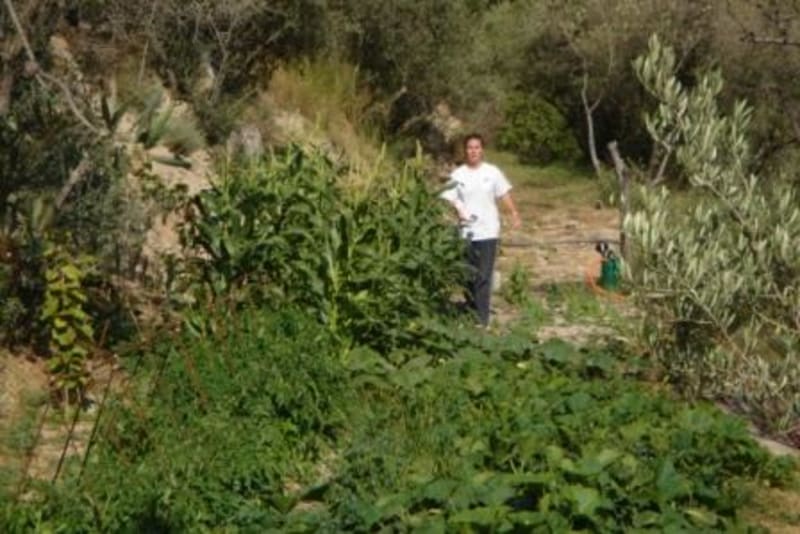 The Road to Self Sufficency, Alpujarras