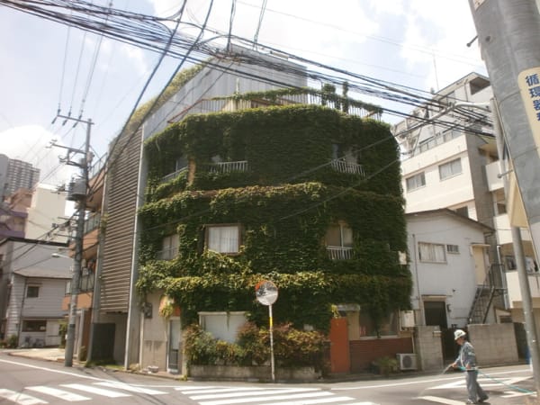 マンション改修工事（東京都豊島区東池袋）