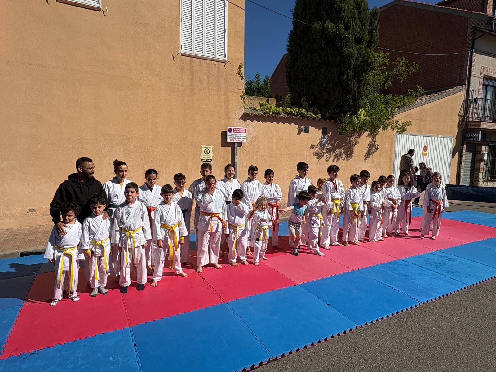 Galería Dojo 1