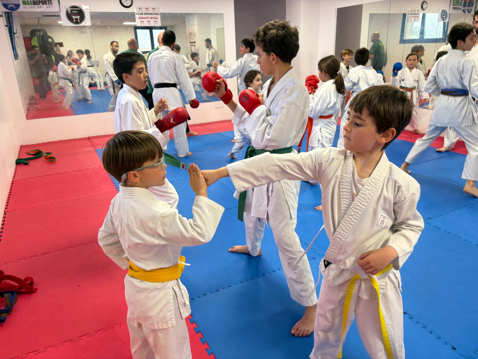 Galería Dojo 2
