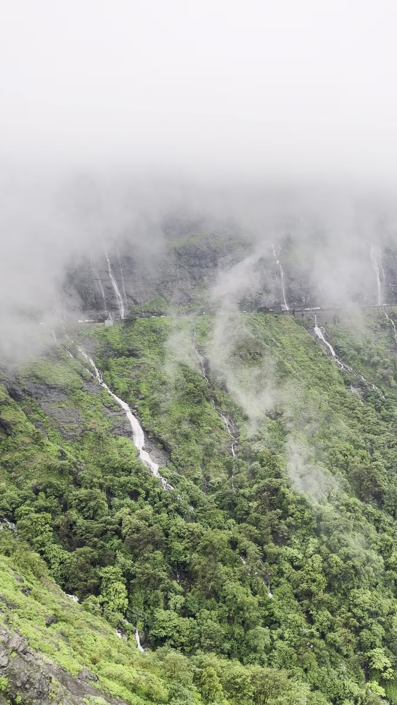 Dramatic monsoon waterfalls cascading down green basalt cliffs at Malshej Ghat near Pune