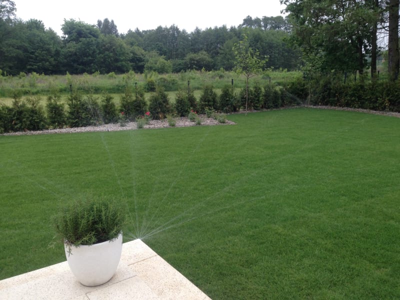 Trawa w rolce - Trawnik rolowany - KrzyweDrzewa.pl