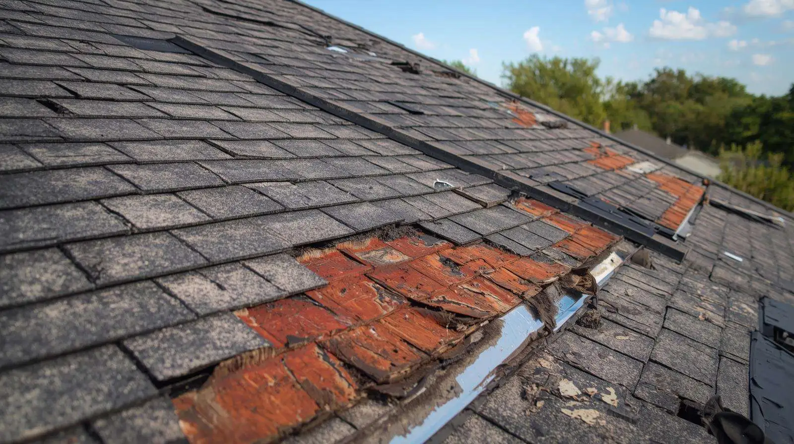 Roof Replacement