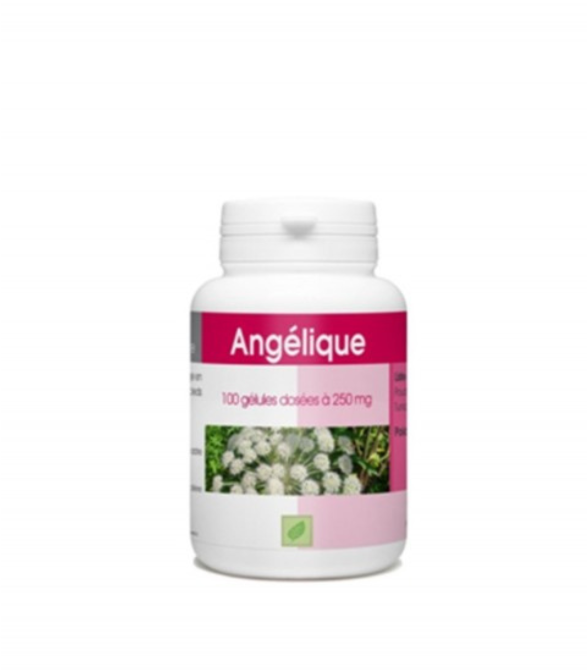 ANGÉLIQUE 100 GÉLULES