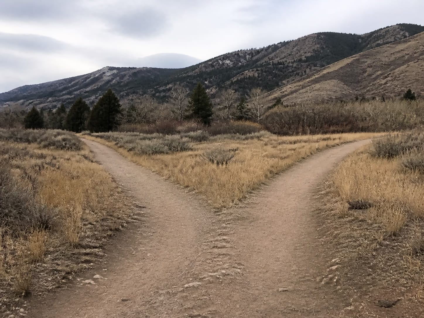 A fork in a walking trail in the Wasatch Front foothills.
