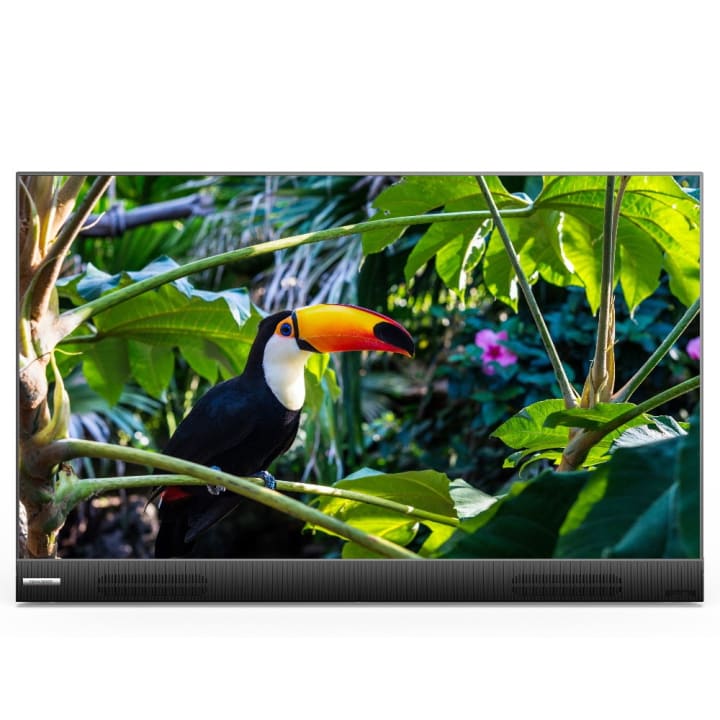 טלוויזיה "32 LED HD נטענת שניידר Schneider ST32PTV