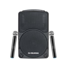 בידורית "10 QL MILANO QL510 500W כולל 2 מיקרופונים אלחוטיים