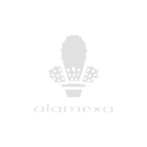 Alamexa