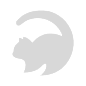 PoopyCat en Kueski Pay