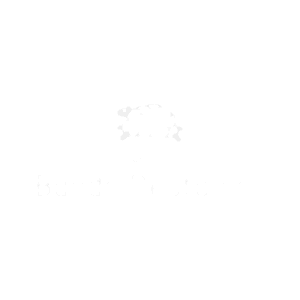 Banda Neutónica en Kueski Pay