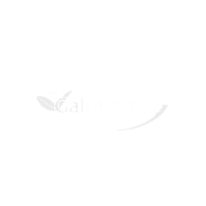 Galorganic en Kueski Pay