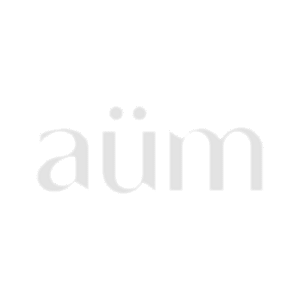 Aum Wellness Stones