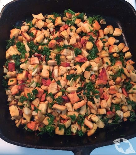 Mushroom - Chicken of the Woods