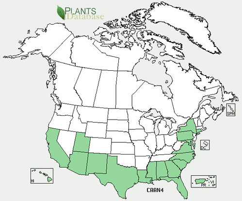map of Chile Pequin distribution in North America