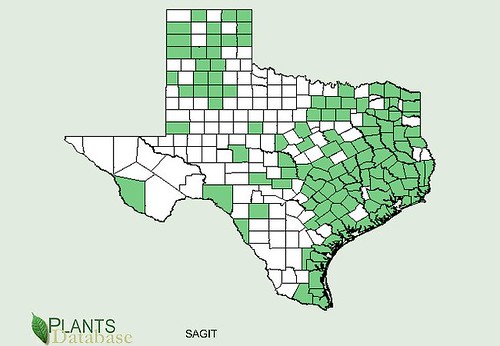 map of Arrowhead/Wapato distribution in Texas