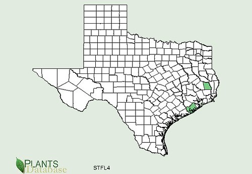 map of Betony distribution in Texas
