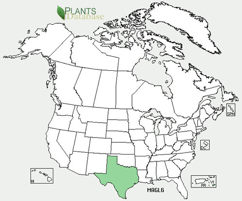 map of Barbados Cherry distribution in North America