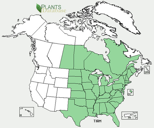 map of Basswood/Linden distribution in North America
