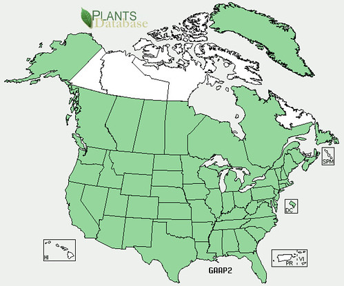 map of Cleaver distribution in North America