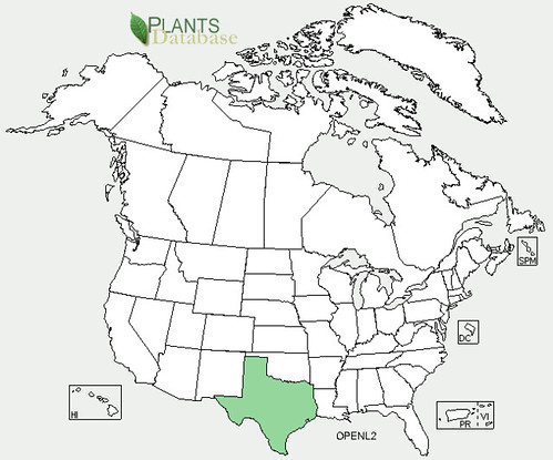 map of Cactus - Cow's Tongue distribution in North America