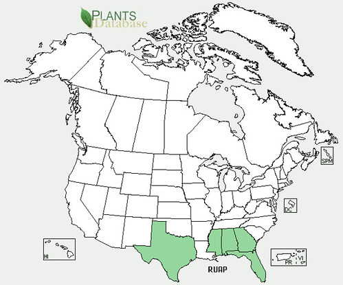 map of Dewberry distribution in North America